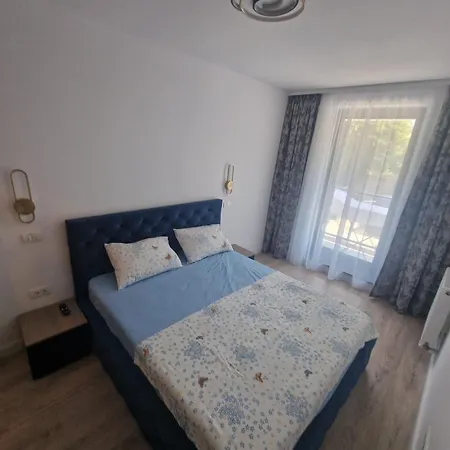 Casa Lui Matei, Apartmán